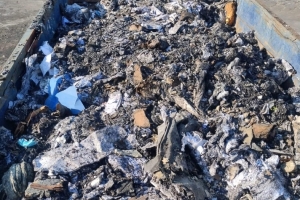 original-E9AE5776-2CC1-48B2-AD3B-209422206A6D