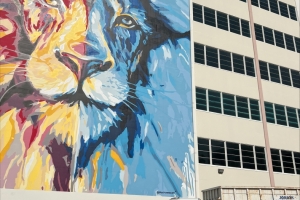 processed-7E30C764-5172-4CDF-9F87-0C9142E229DB